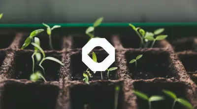 Why incorporate ESG into your investment decisions?