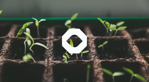 Why incorporate ESG into your investment decisions?