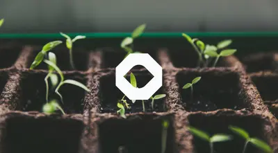 Why incorporate ESG into your investment decisions?